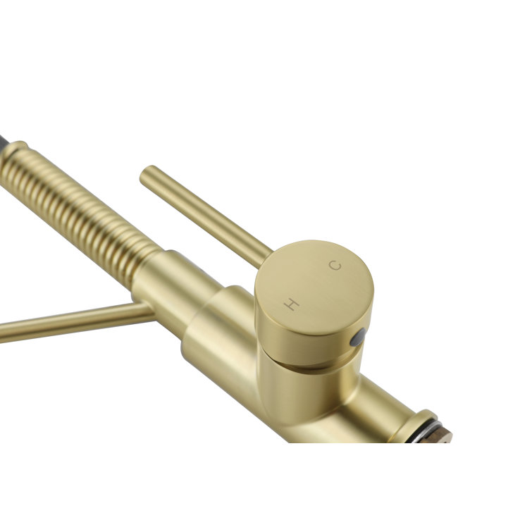 Brushed Gold Brass Spring Neck Kitchen Faucet with Pull-out Spray
