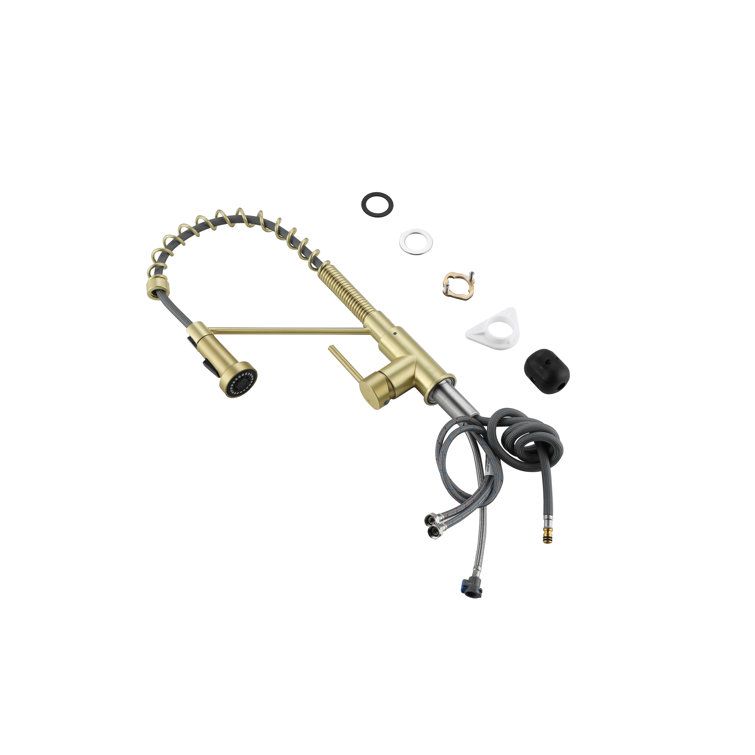 Brushed Gold Brass Spring Neck Kitchen Faucet with Pull-out Spray