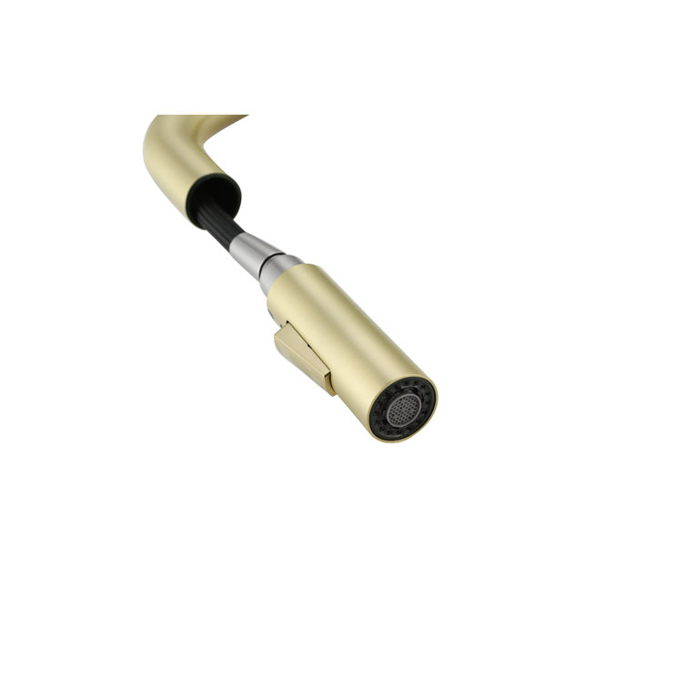 Brushed Gold Stainless Steel Gooseneck Kitchen Faucet with Pull-out Spray