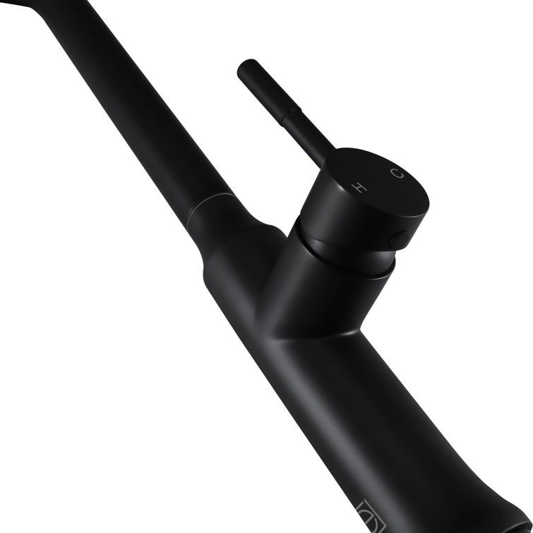 Matte Black Stainless Steel Gooseneck Kitchen Faucet with Pull-out Spray