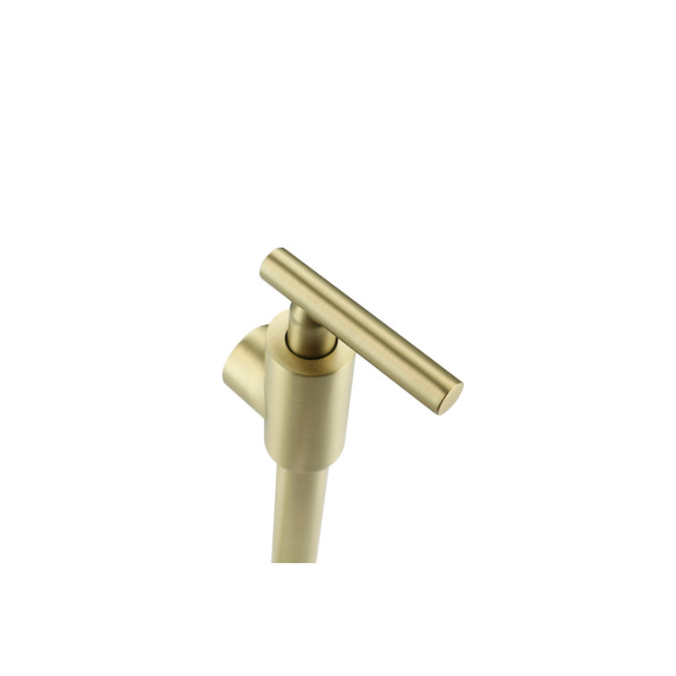 Brushed Gold Brass Dual Handle Kitchen Faucet