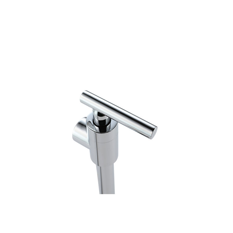 Chrome Dual Handle Wall Mounted Pot Filler Faucet