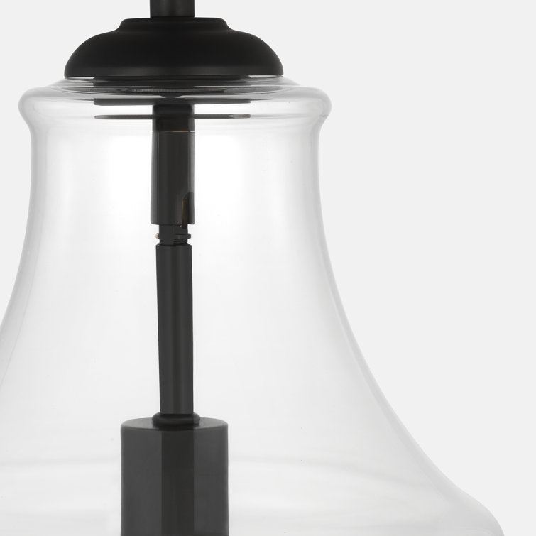 Midnight Black Clear Glass Indoor/Outdoor Pendant Light