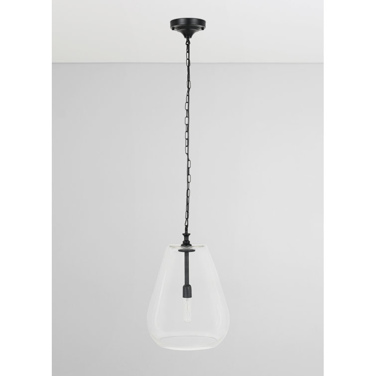 Matte Black Mini Pendant Light with Clear Glass Shade