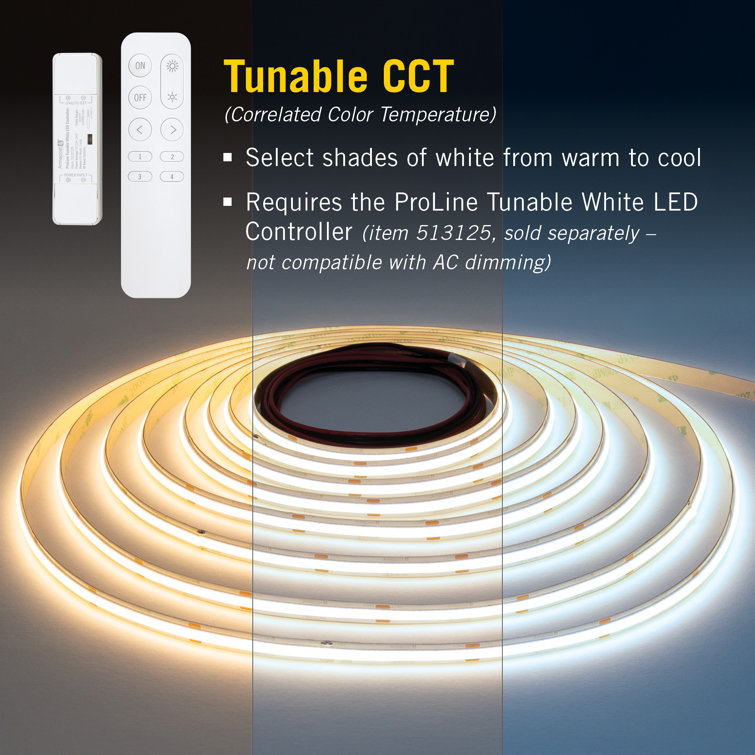 RibbonFlex Pro 32 ft Tunable White COB LED Strip Light