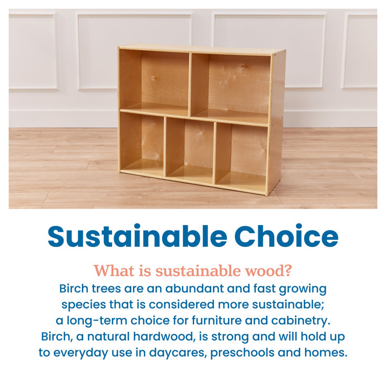 Natural Birch Lacquered 5-Compartment Storage Bookcase
