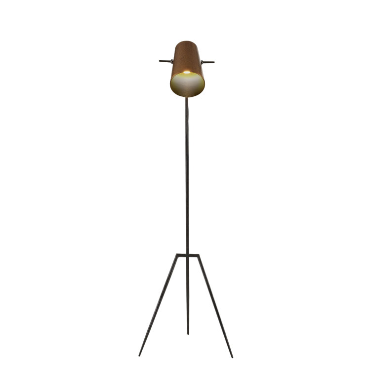 Black Iron and Brass Tripod Floor Lamp