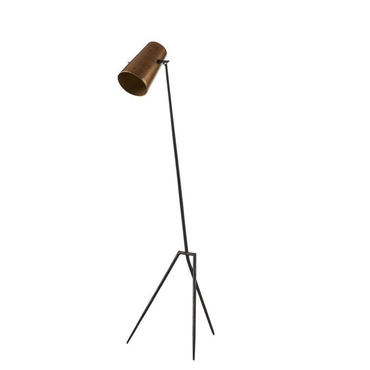Black Iron and Brass Tripod Floor Lamp