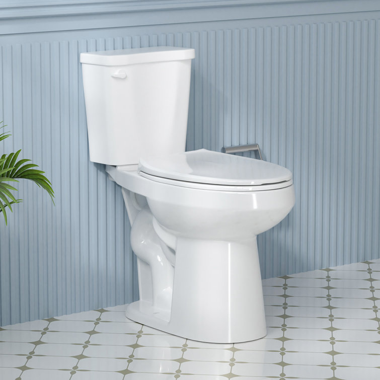 Aguamaph 20 in. White Elongated Two-Piece Toilet with Seat