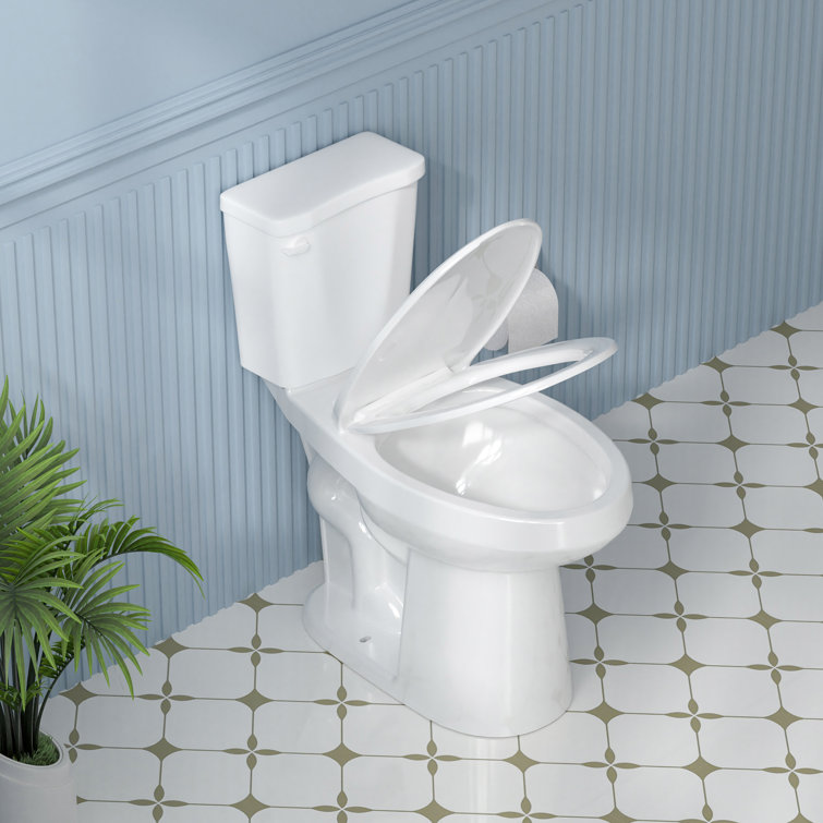 Aguamaph 20 in. White Elongated Two-Piece Toilet with Seat