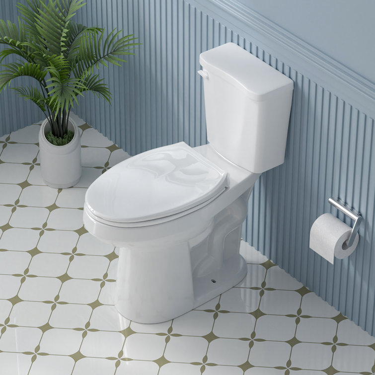 Aguamaph 20 in. White Elongated Two-Piece Toilet with Seat