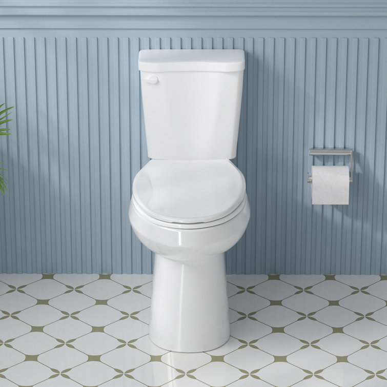 Aguamaph 20 in. White Elongated Two-Piece Toilet with Seat