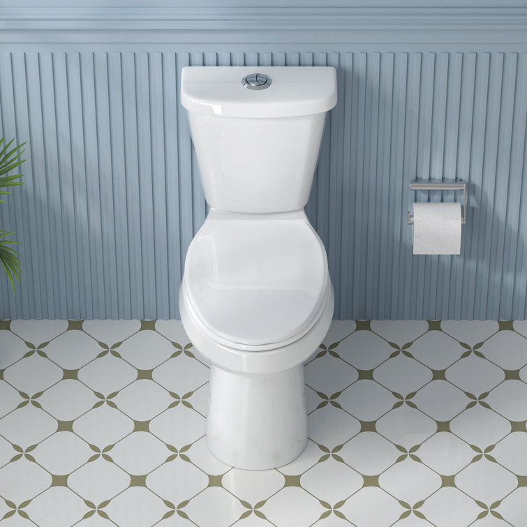 19 in. White Vitreous China Dual Flush Elongated Toilet
