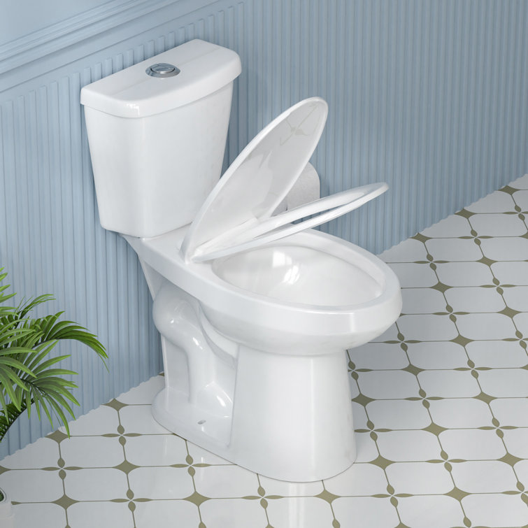 19 in. White Vitreous China Dual Flush Elongated Toilet