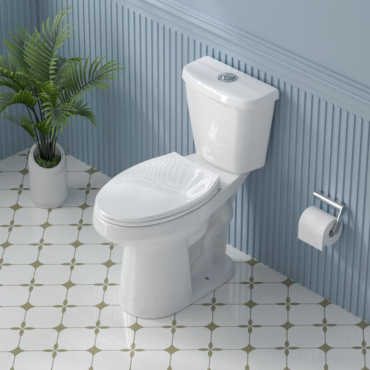 19 in. White Vitreous China Dual Flush Elongated Toilet