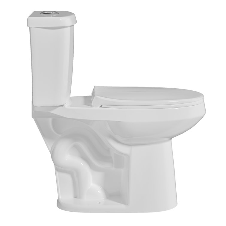 19 in. White Vitreous China Dual Flush Elongated Toilet
