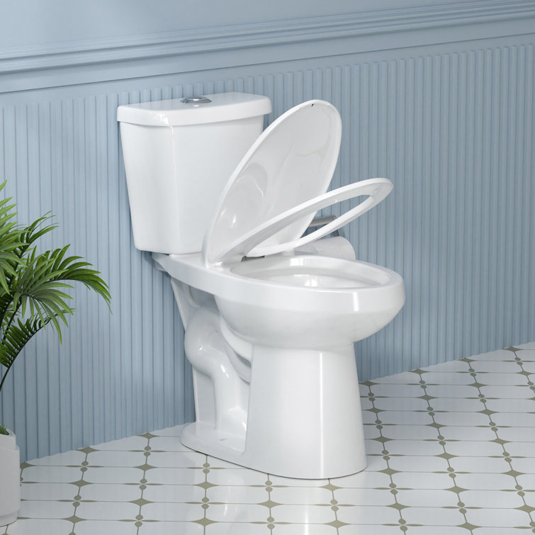 19 in. White Vitreous China Dual Flush Elongated Toilet