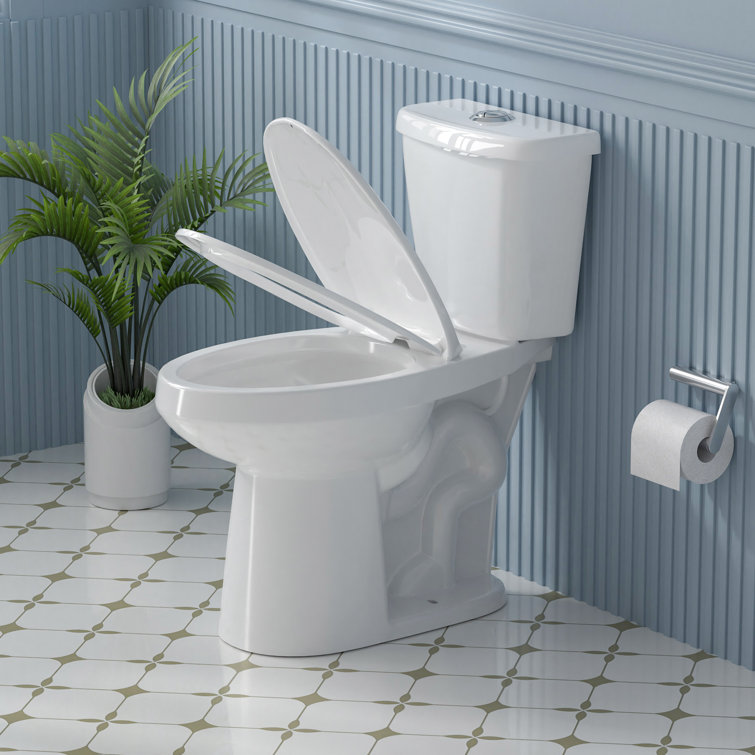 19 in. White Vitreous China Dual Flush Elongated Toilet