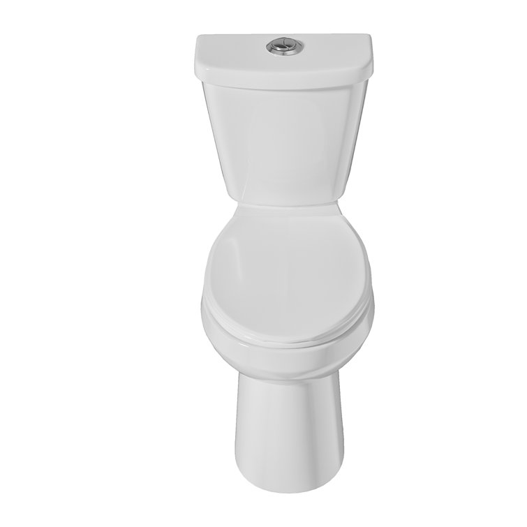 19 in. White Vitreous China Dual Flush Elongated Toilet