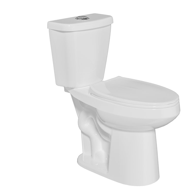 19 in. White Vitreous China Dual Flush Elongated Toilet