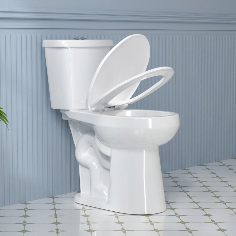19" White Vitreous China Dual Flush Round Two-Piece Toilet