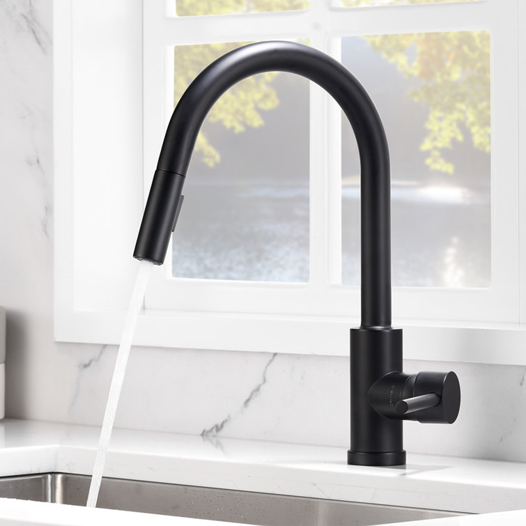 Matte Black Single-Hole Pull-Out Spray Kitchen Faucet