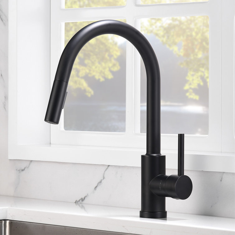Matte Black Single-Hole Pull-Out Spray Kitchen Faucet