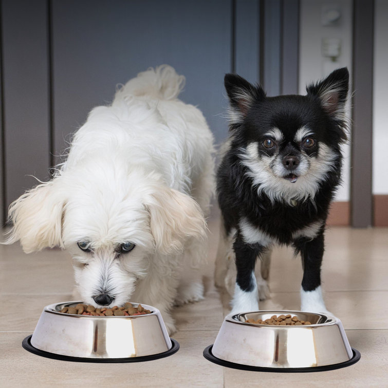 16 oz Stainless Steel Non-Skid Pet Bowl