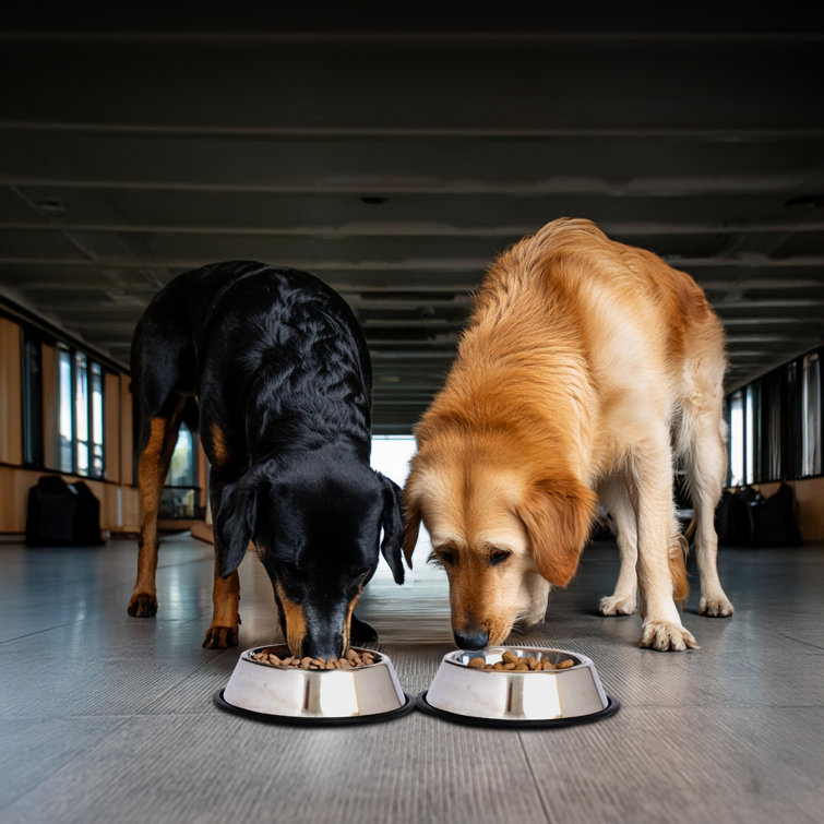 Stainless Steel Non-Skid Pet Bowl with Rubber Base, 64 Oz