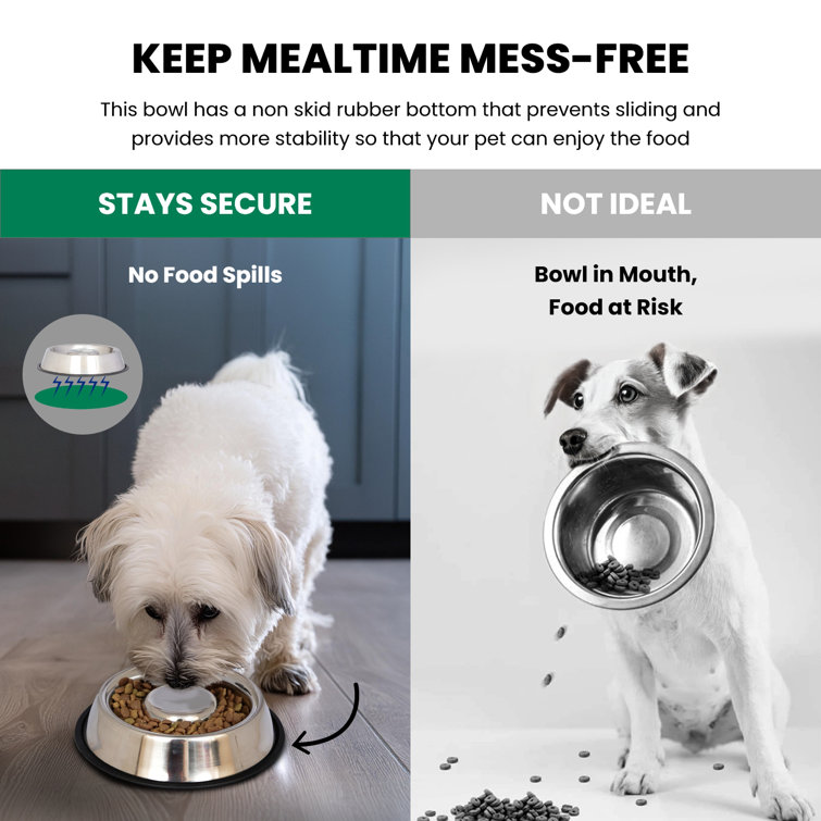 Stainless Steel Anti-Skid Slow Feeder Pet Bowl, 12 Oz