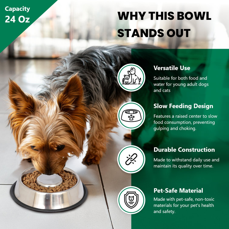 Medium Stainless Steel Anti-Skid Slow Feeder Pet Bowl
