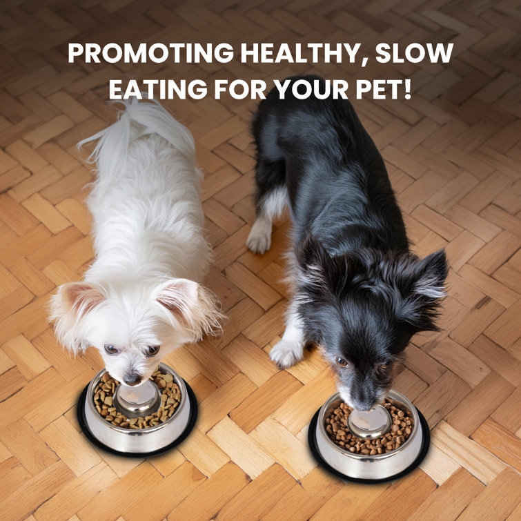 Medium Stainless Steel Anti-Skid Slow Feeder Pet Bowl
