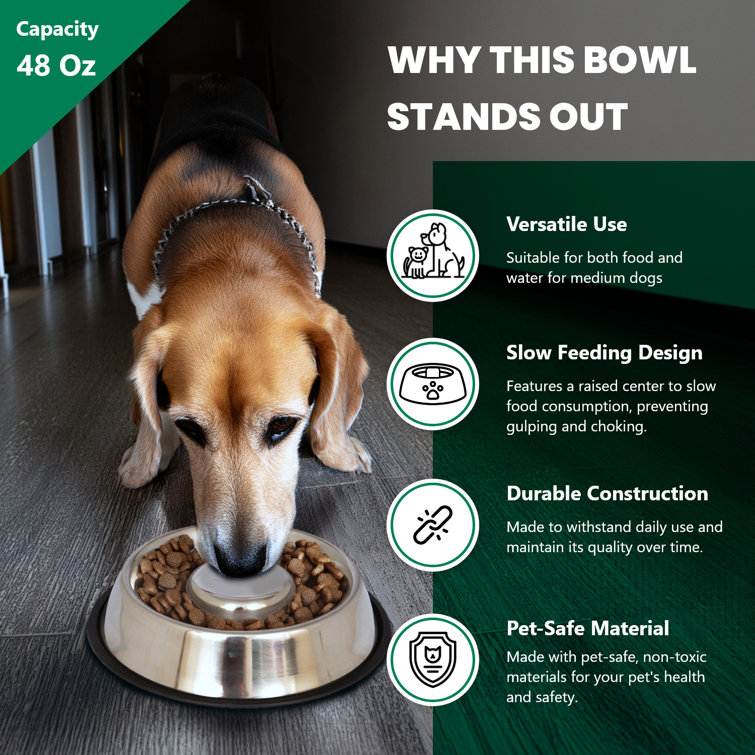 Large Stainless Steel Anti-Skid Slow Feeder Pet Bowl
