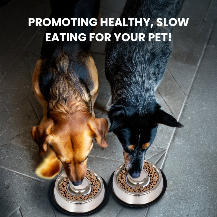 Large Stainless Steel Anti-Skid Slow Feeder Pet Bowl