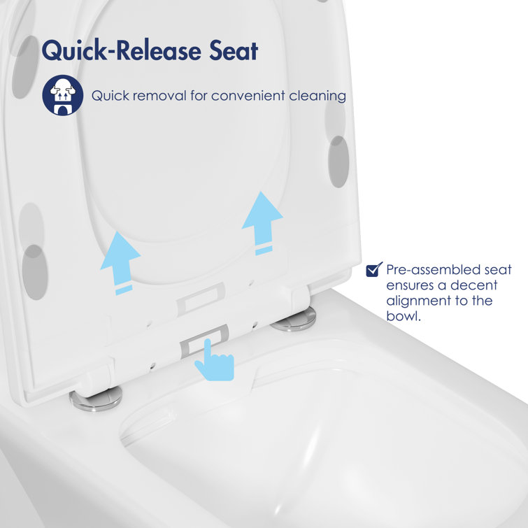 Naples White Dual Flush Compact Chair Height Elongated Toilet
