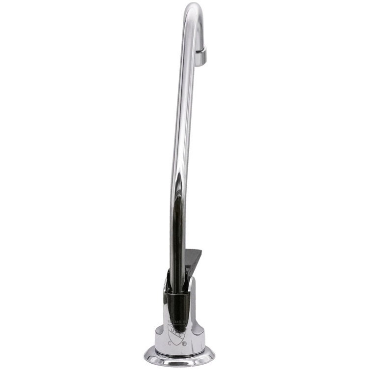 Polished Chrome Single Handle Beverage Faucet with Filter Kit