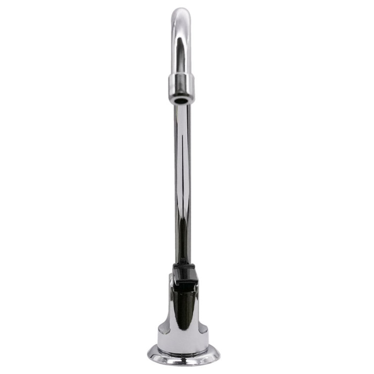 Polished Chrome Single Handle Beverage Faucet with Filter Kit