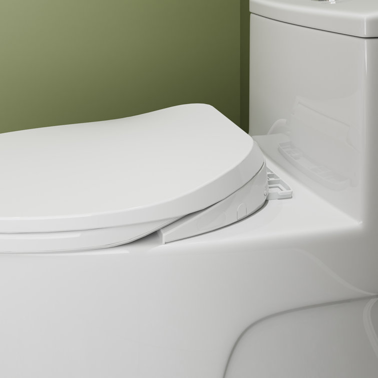 White Porcelain Elongated Dual Flush ADA Toilet with Bidet Seat