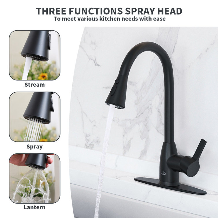 Matte Black Metal Kitchen Faucet with Pull-Out Spray
