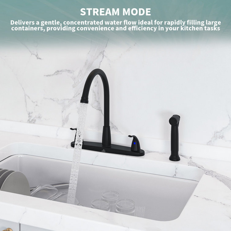 Matte Black Stainless Steel Double Handle Kitchen Faucet with Side Sprayer