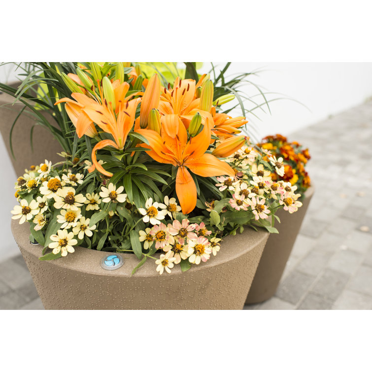 Mocha Round Heavy-Duty Plastic Indoor/Outdoor Planter Pot