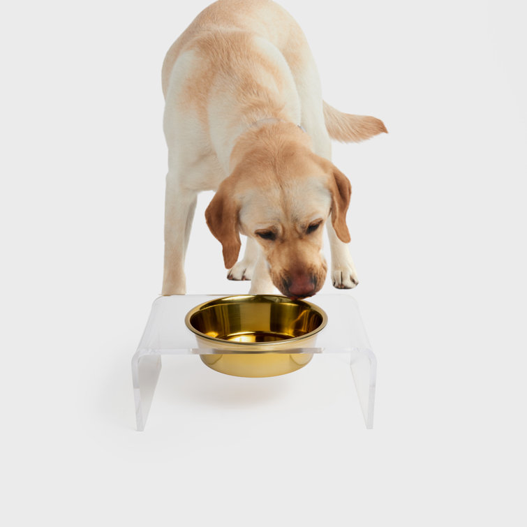 Clear Acrylic Elevated Pet Feeder with Stainless Steel Bowl