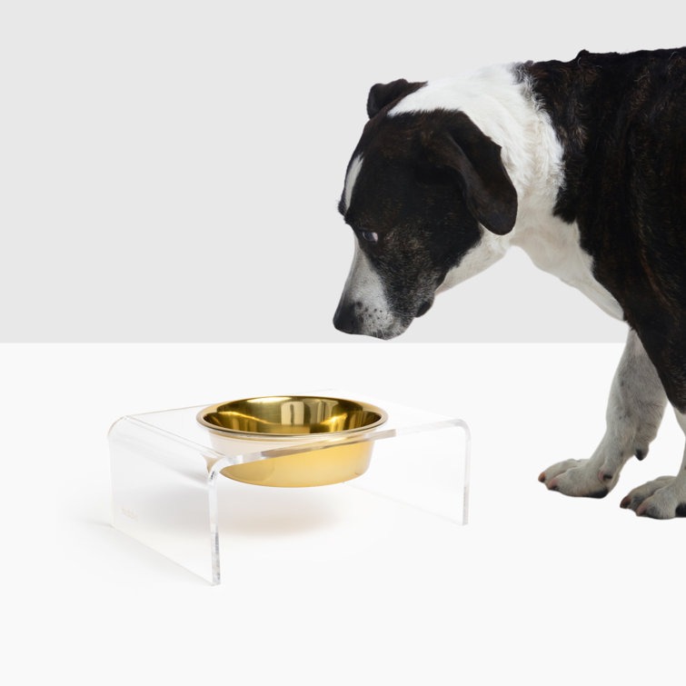 Clear Acrylic Elevated Pet Feeder with Stainless Steel Bowl