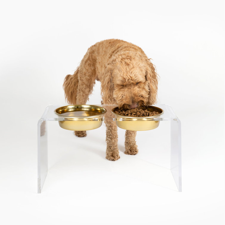 Small Clear Acrylic Double Pet Feeder with Gold Bowls