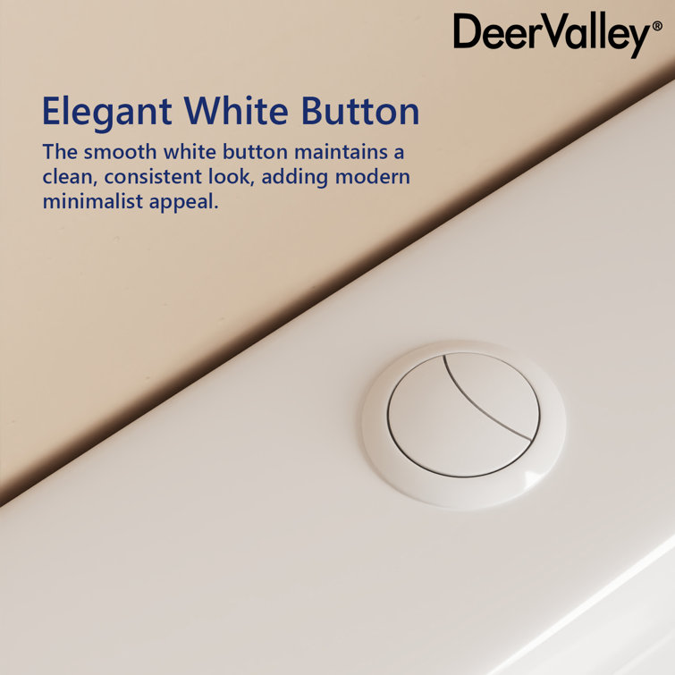 White Ceramic Dual-Flush Elongated One-Piece Toilet with Soft-Close Seat