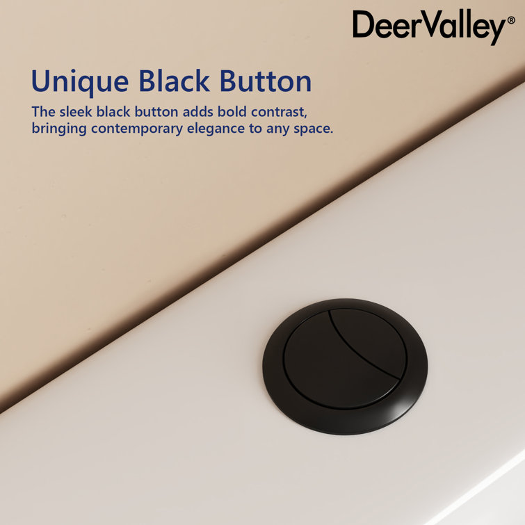 Ally White Ceramic Dual-Flush Elongated One-Piece Toilet with Black Button