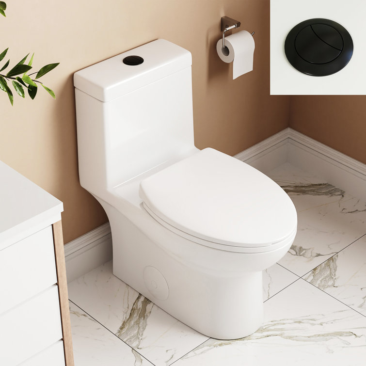 Ally White Ceramic Dual-Flush Elongated One-Piece Toilet with Black Button