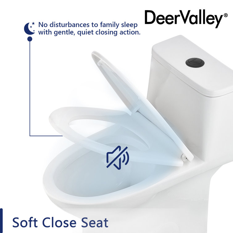 Ally White Ceramic Dual-Flush Elongated One-Piece Toilet with Black Button