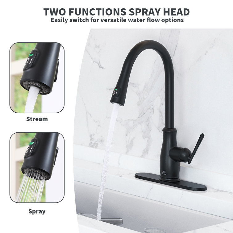 Matte Black Pull Down Kitchen Faucet with Digital Display