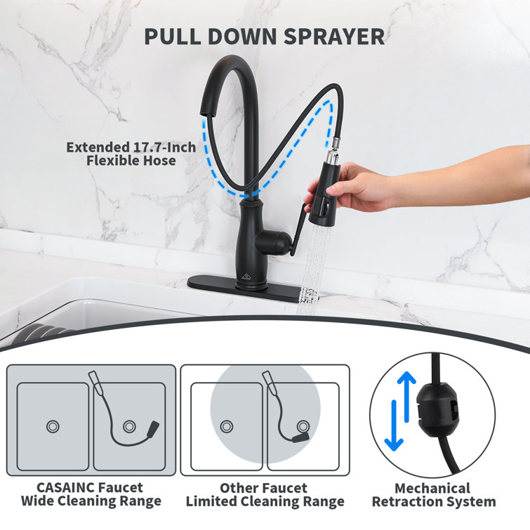 Matte Black Pull Down Kitchen Faucet with Digital Display